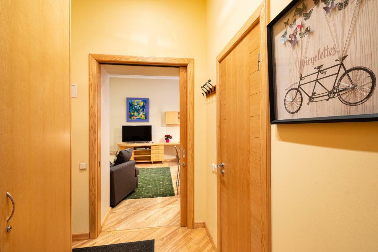 Kalnina Quiet Apartment In City Center 里加 外观 照片